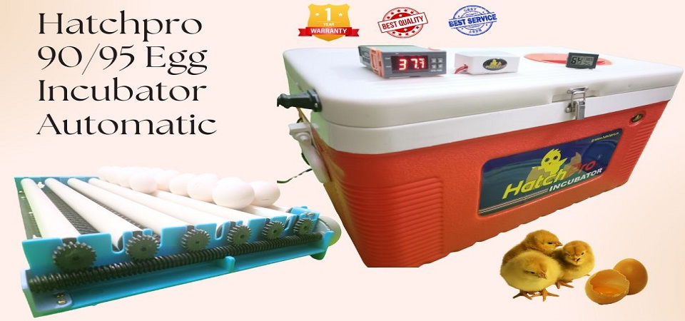 90  Fully automatic egg incubator